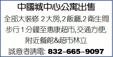 中國城中心公寓出售