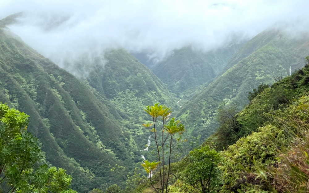 不到顶峰非好汉 冒雨攀登西毛伊岛拉尼利利之巅
