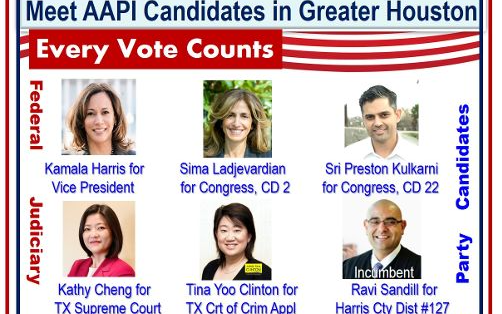 地方選舉要投誰?帶你看大德州地區的12位亞太裔候选人