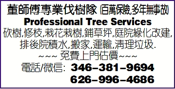 董師傅專業伐樹隊 (百萬保險,多年無事故)