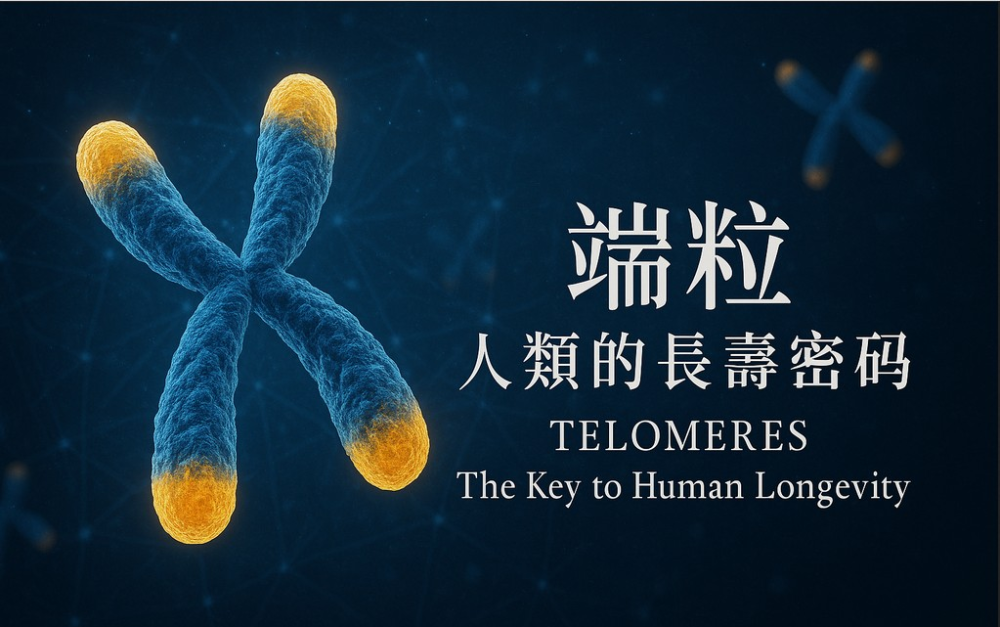 逆轉時光: 揭開生命時鐘的祕密  「端粒」的重要性，如何延緩衰老