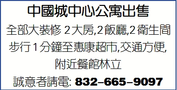 中国城中心公寓出售