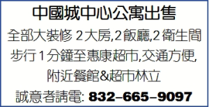 中國城中心公寓出售