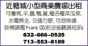 近糖城小型商業農場出租