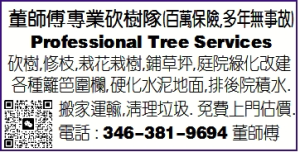 董師傅專業伐樹隊 (百萬保險,多年無事故)