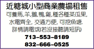 近糖城小型商業農場租售